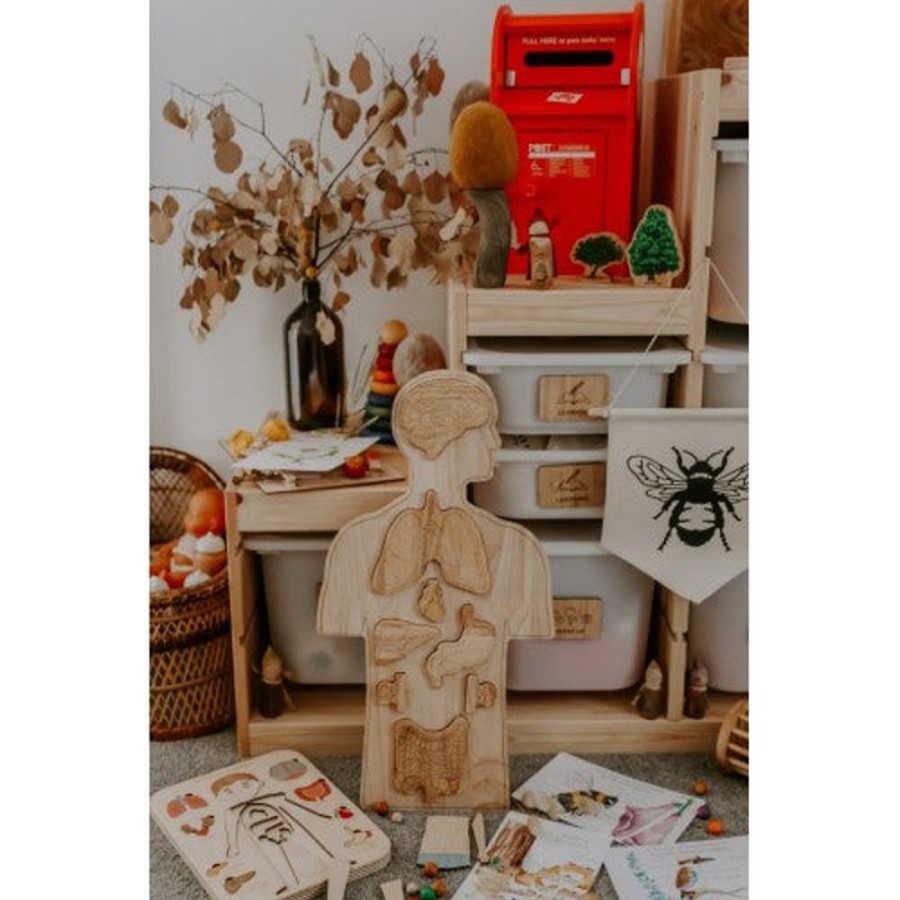 Toys QTOYS | Qtoys - Wooden Anatomy Puzzle