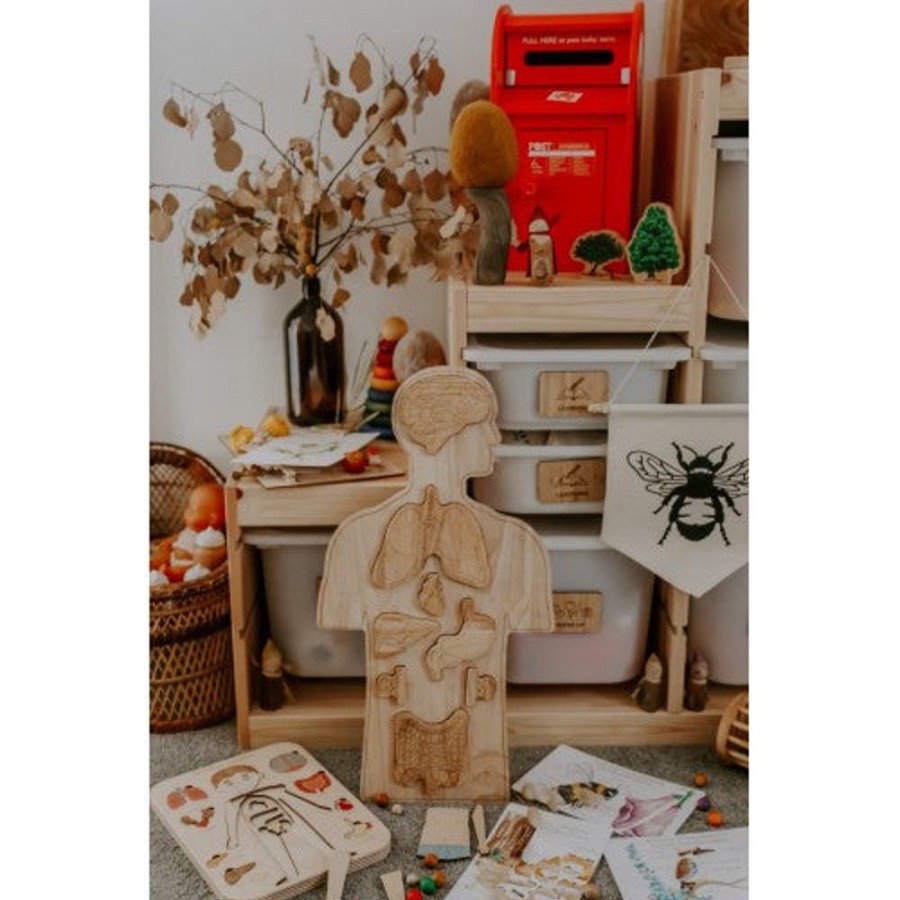 Toys QTOYS | Qtoys - Wooden Anatomy Puzzle